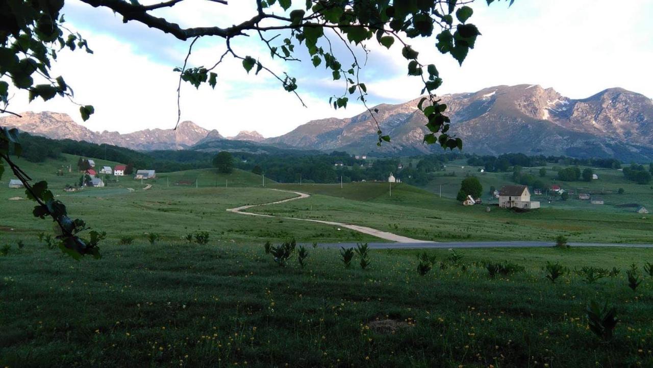 Hotel Organic Family Farm à Žabljak Extérieur photo